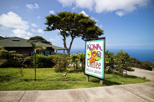 Kona Joe Coffee