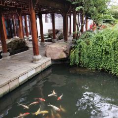云澜湾·上膳房 User Photo