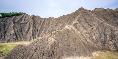 田寮月世界