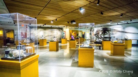 Pacific Museum of Earth