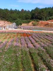 Nanpu Ecological Park （Southwest Gate）