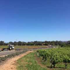 Penfolds Magill Estate Restaurant User Photo