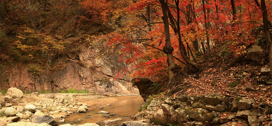 Fall Viewing Attractions