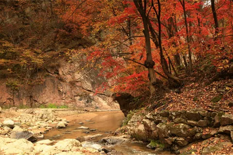 Yulongxi Grand Canyon Scenic Area