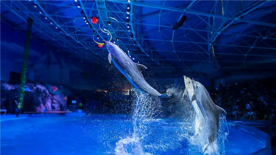 2_Polar Oceanarium