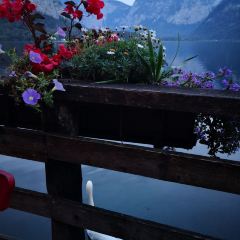 BRAUGASTHOF am Hallstattersee ảnh của người dùng