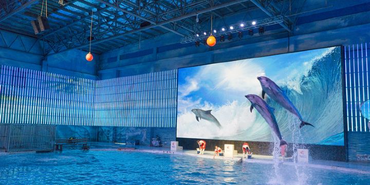 Ningbo Ocean World