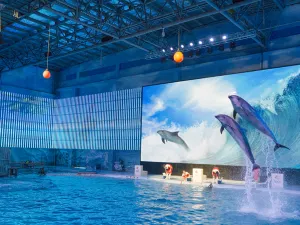Ningbo Ocean World