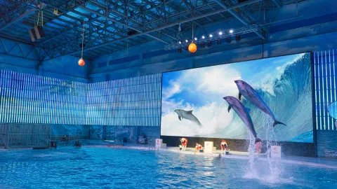 寧波海洋世界 attraction in 寧波