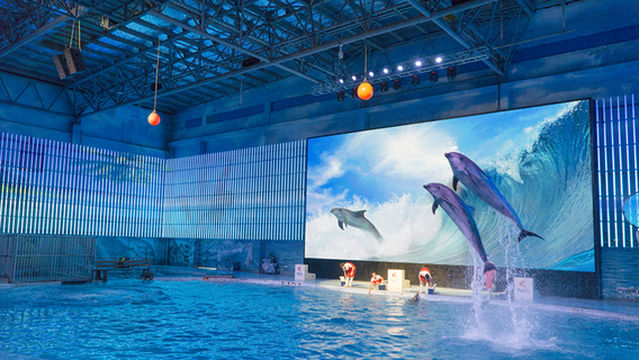 Ningbo Ocean World