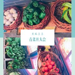 初家飯店張用戶圖片