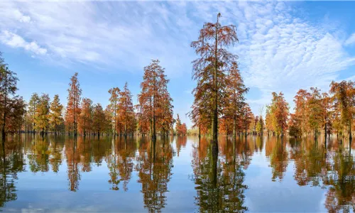 Chishan Lake National Wetland Park