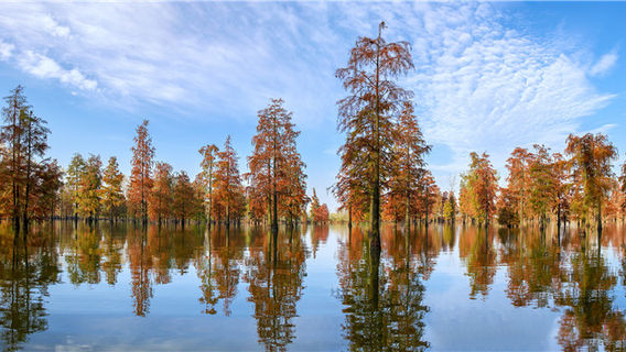 Chishan Lake National Wetland Park