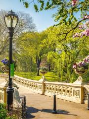 Bow Bridge