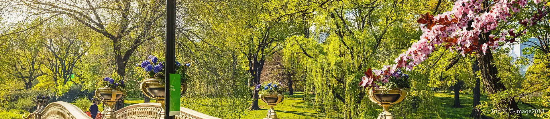 Fioriture Primaverili