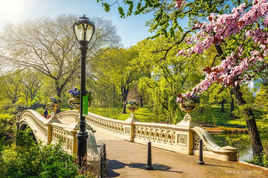 Bow Bridge