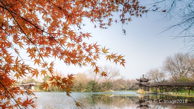 Maple Leaf Viewing in Hangzhou
