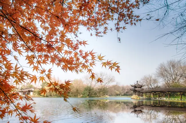 Maple Leaf Viewing in Hangzhou