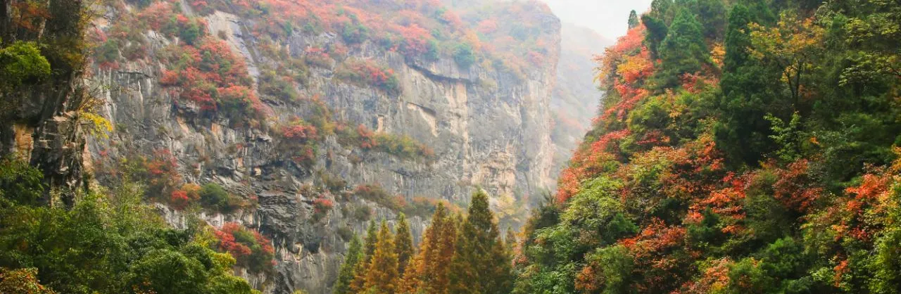 Fall Viewing Attractions