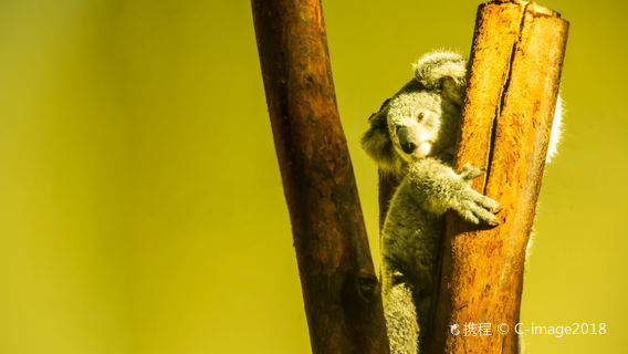 GuangzhouExperiences