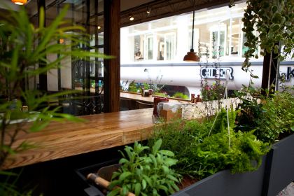 春水堂人文茶館（台北信義店）