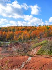 Belfountain Conservation Area