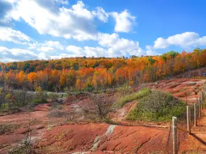 Belfountain Conservation Area