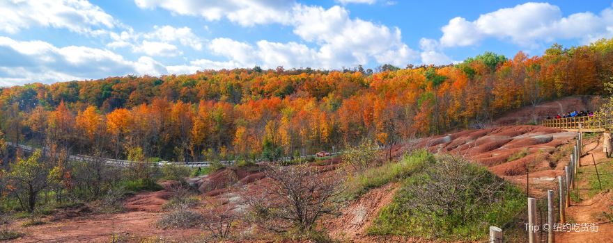 Belfountain Conservation Area