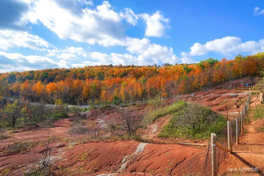 Belfountain Conservation Area