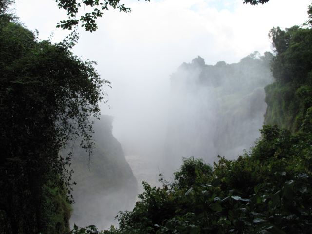Chirinda Forest Reserve