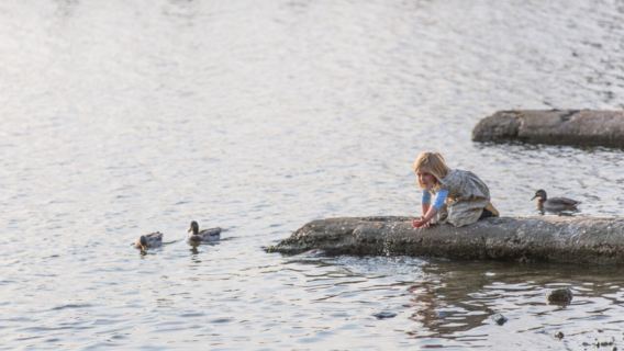 英國溫德米爾+科尼斯頓湖+英國湖區國家公園一日遊