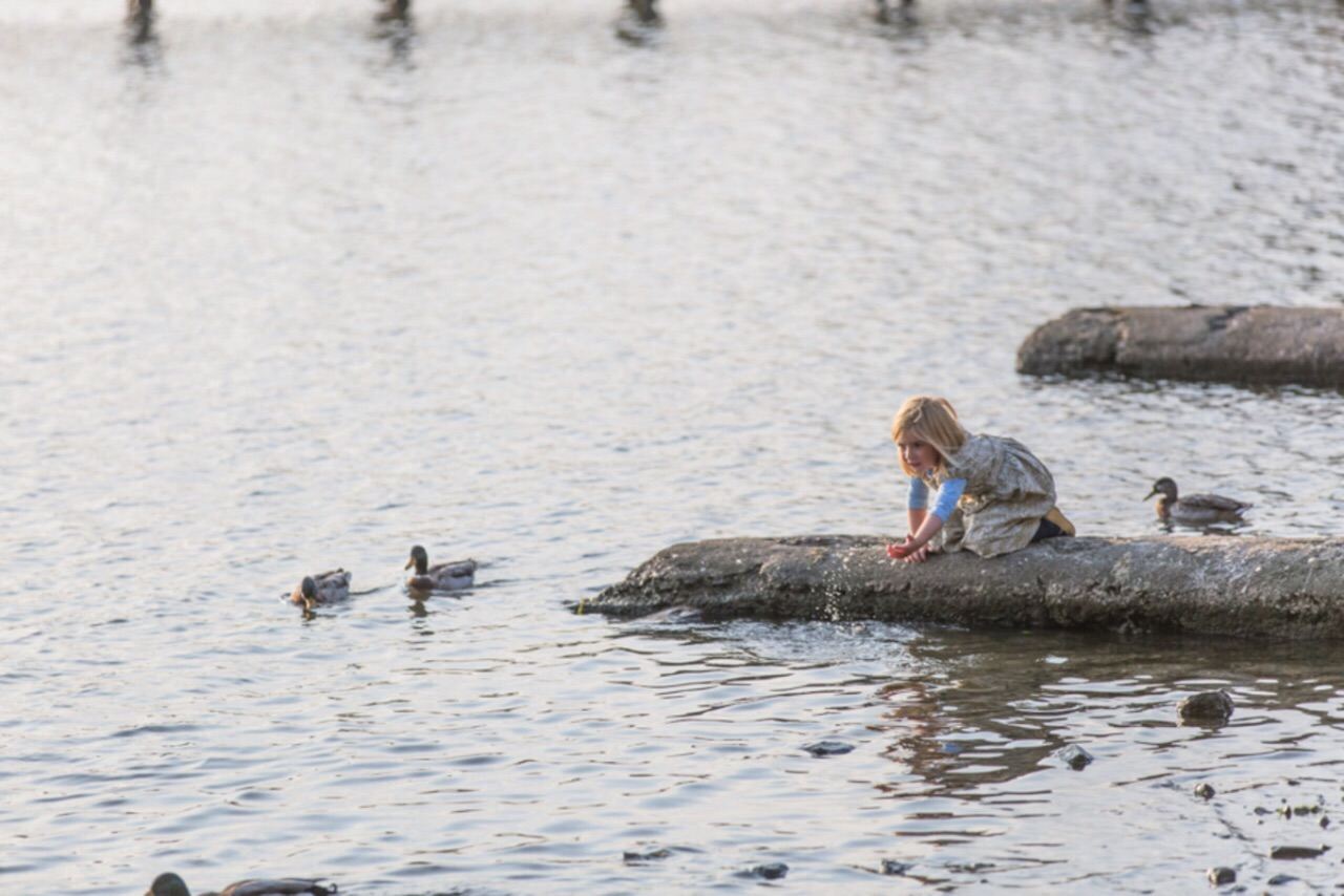 英國温德米爾湖+科尼斯頓湖+英國湖區國家公園一日遊