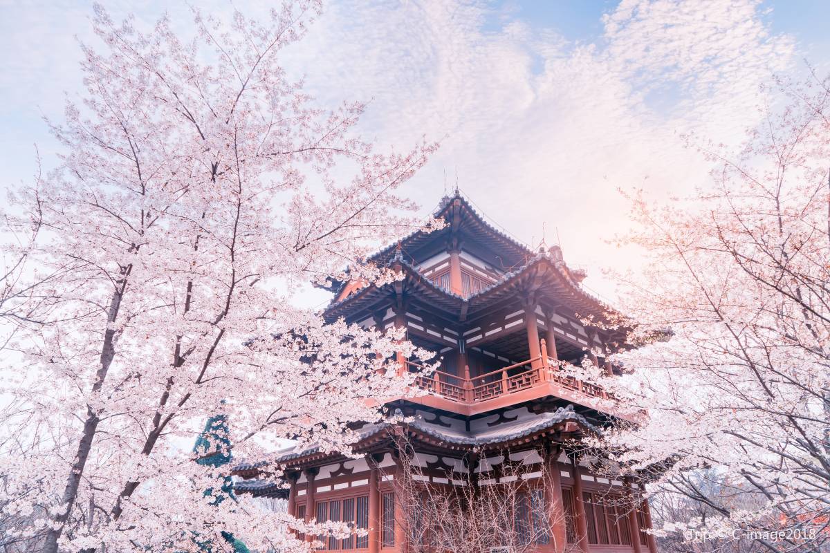 青龍寺