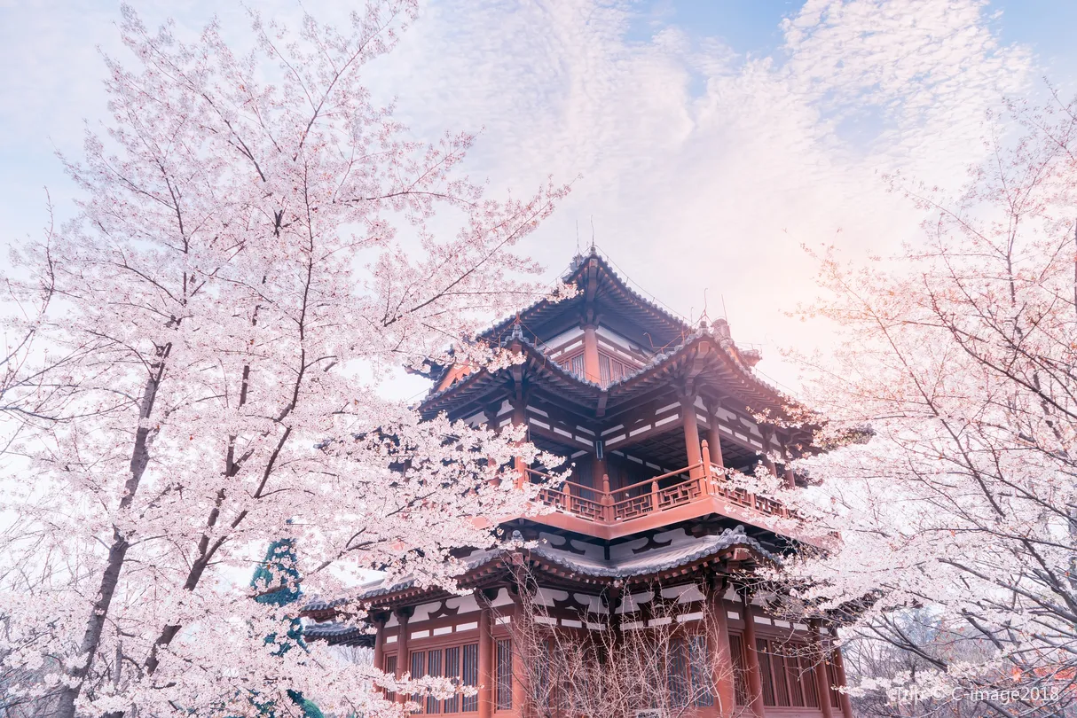 2_청룡사(칭룽쓰)