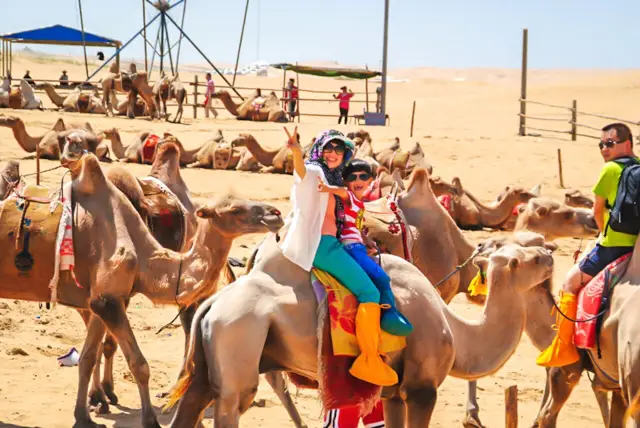Camel Riding in Ordos