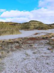 Dinosaur Provincial Park