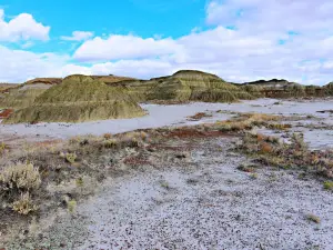 Dinosaur Provincial Park