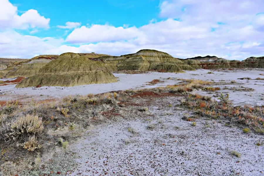 Dinosaur Provincial Park