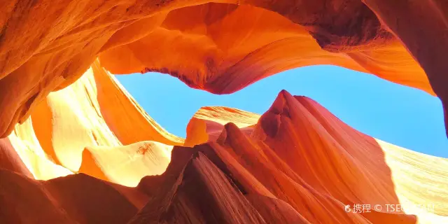 レチー観光ガイド2025年：人気スポット、グルメ、ホテル、天気など