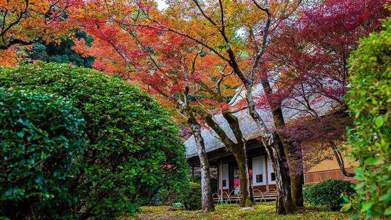 Kunenan Gardens