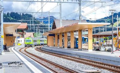MOB - Goldenpass