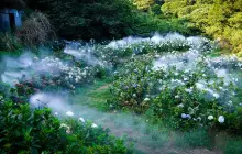 Yangmingshan National Park