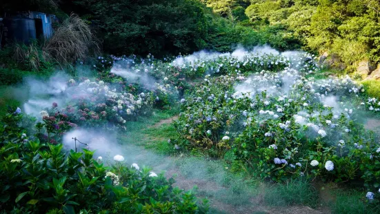 Yangmingshan National Park