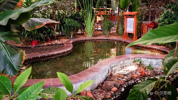 Shennong Hot Spring Resort