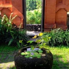 Bali Asli User Photo
