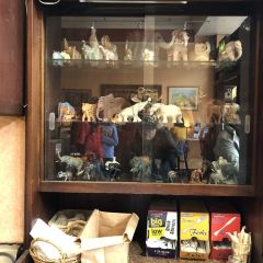 The Elephant House 여행 사진