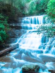 Mount Field National Park