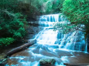 Parque nacional del Monte Field