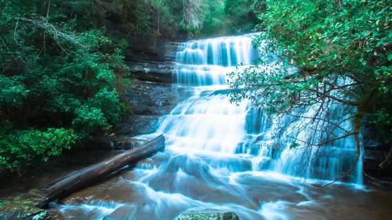 Parc national du mont Field