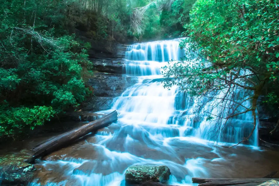 Mount Field National Park